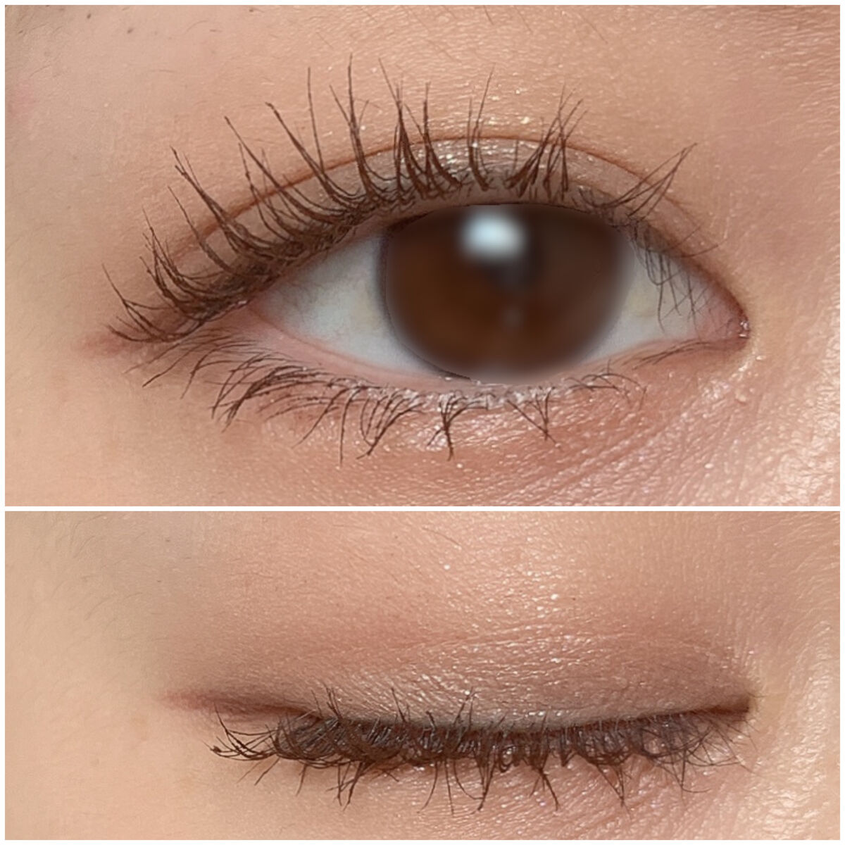 シングルカラーアイシャドウ/CEZANNE/単色アイシャドウを使ったクチコミ（3枚目）