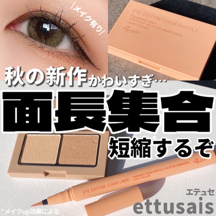 エテュセ アイエディション(カラーパレット)/ettusais/アイシャドウパレットを使ったクチコミ(1枚目)