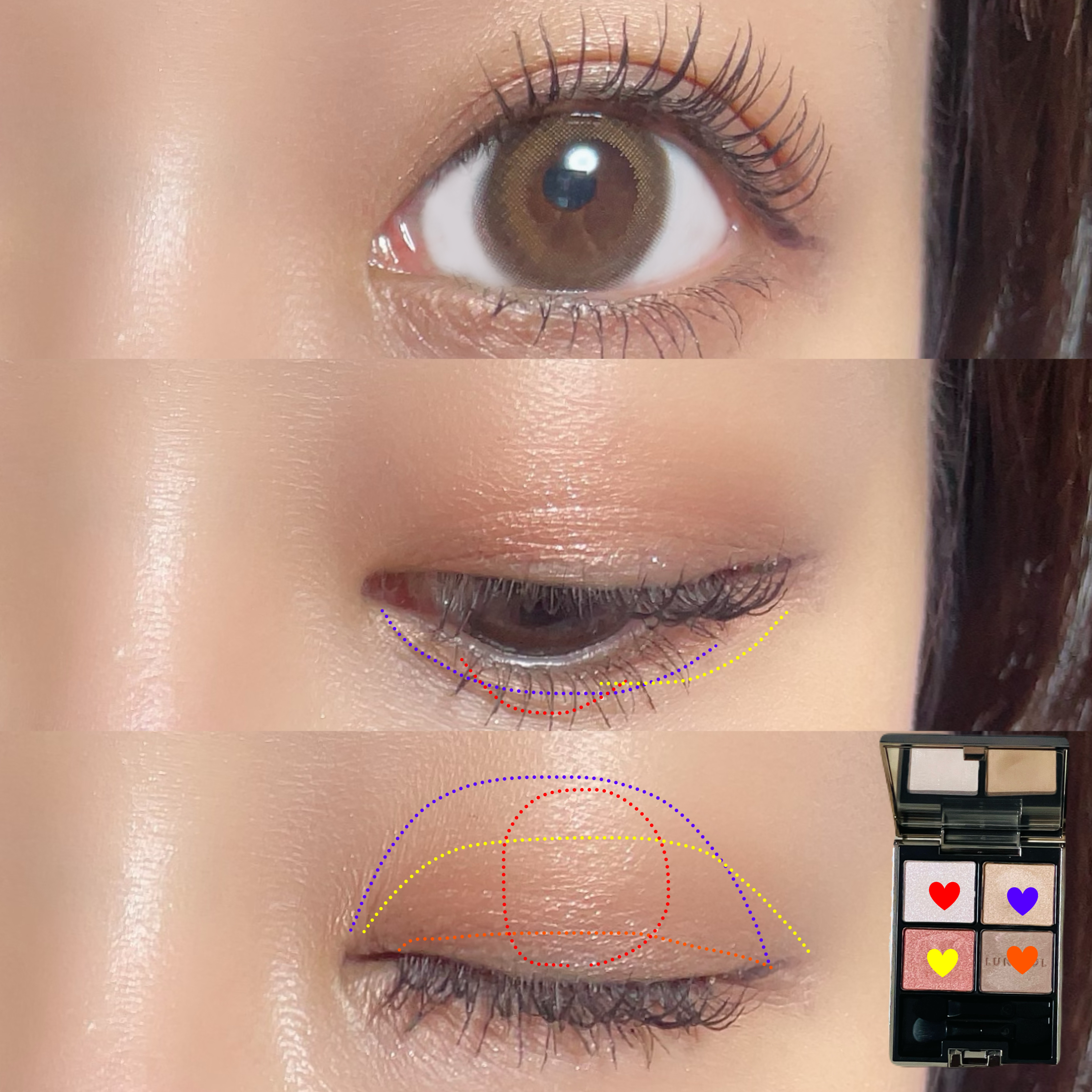 アイカラーレーション/LUNASOL/アイシャドウパレットを使ったクチコミ（3枚目）