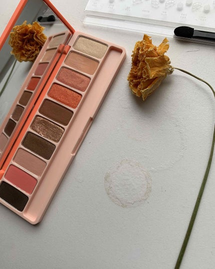 プレイカラー アイシャドウ/ETUDE/アイシャドウパレットを使ったクチコミ(2枚目)