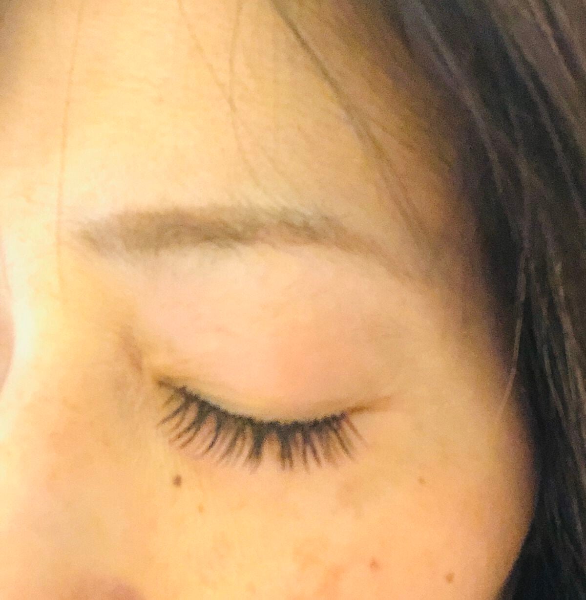 つけまつげ/DAILY MUSE/つけまつげを使ったクチコミ(8枚目)