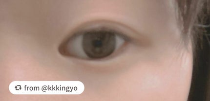 TWOOLダブルアイリッドハイブリットフィルム/SHOBIDO/二重まぶた用アイテムを使ったクチコミ(2枚目)