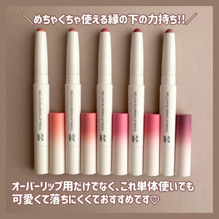 メロウブラーリングリップペンシル/HOLIKA HOLIKA/リップライナーを使ったクチコミ(6枚目)