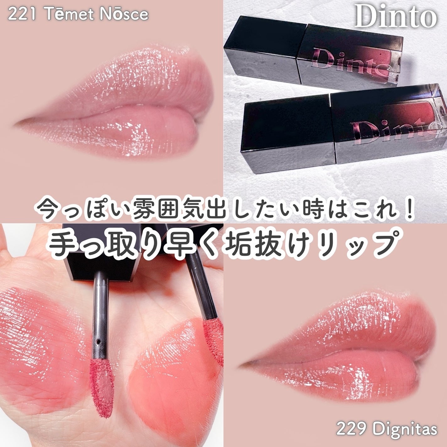 ブラーグロイリップティント/Dinto/リップティントを使ったクチコミ(1枚目)