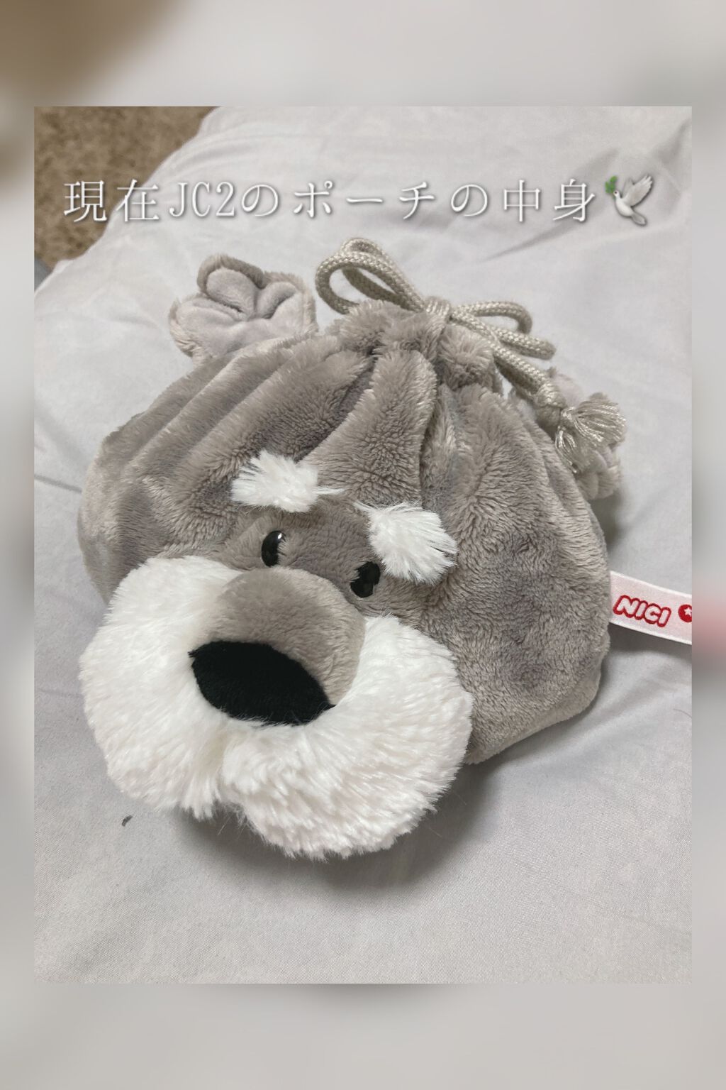 七瀬. on LIPS 「現在JC2のポーチの中身.🕊初めまして七瀬.です。初投稿です!..」(1枚目)