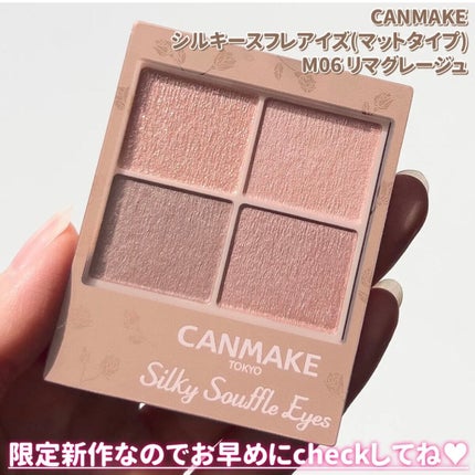シルキースフレアイズ(マットタイプ)/キャンメイク/アイシャドウパレットを使ったクチコミ(6枚目)