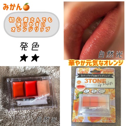 スリートーンリップパレット/キャンドゥ/リップグロスを使ったクチコミ(3枚目)