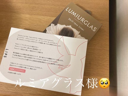 スキルレスライナー/LUMIURGLAS/リキッドアイライナーを使ったクチコミ(1枚目)