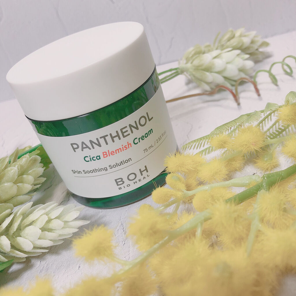 ダーマインテンシブシカパンテノールブラミッシュクリーム/BIOHEAL BOH/フェイスクリームを使ったクチコミ（1枚目）