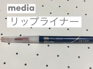 media リップライナーAAのクチコミ「media　リップライナーAA　PK-4   715円

唇の輪郭をはっきり描きたいため、購入.....」（1枚目）