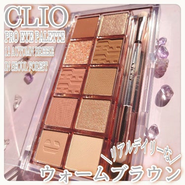 プロ アイ パレット/CLIO/パウダーアイシャドウを使ったクチコミ（1枚目）