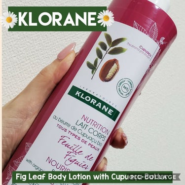 Fig Leaf Body Lotion with Cupuaçu Butter KLORANE（クロラーヌ）