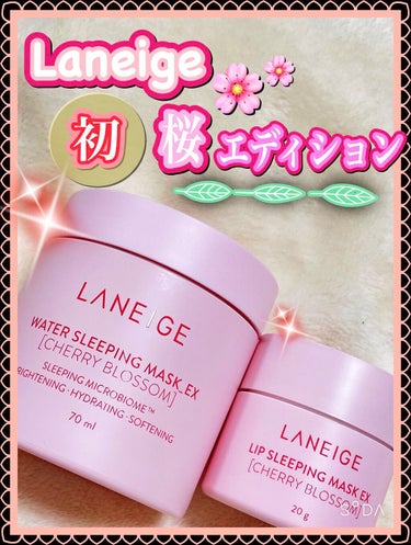 ウォータースリーピングパック EX/LANEIGE/フェイスクリームを使ったクチコミ（1枚目）