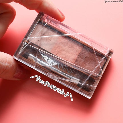 ノーズ&アイブロウパウダー/CEZANNE/パウダーアイブロウを使ったクチコミ(6枚目)