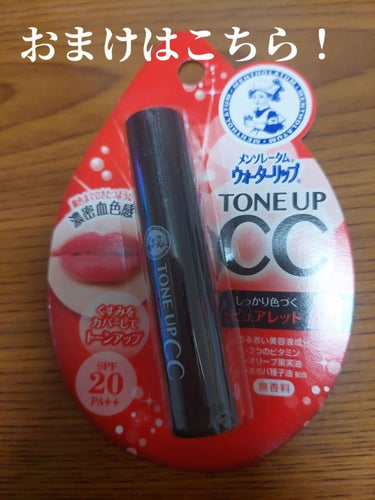 コスメデビューセット LIPSフェスタ Winter 2023/LIPS/メイクアップキットを使ったクチコミ（2枚目）