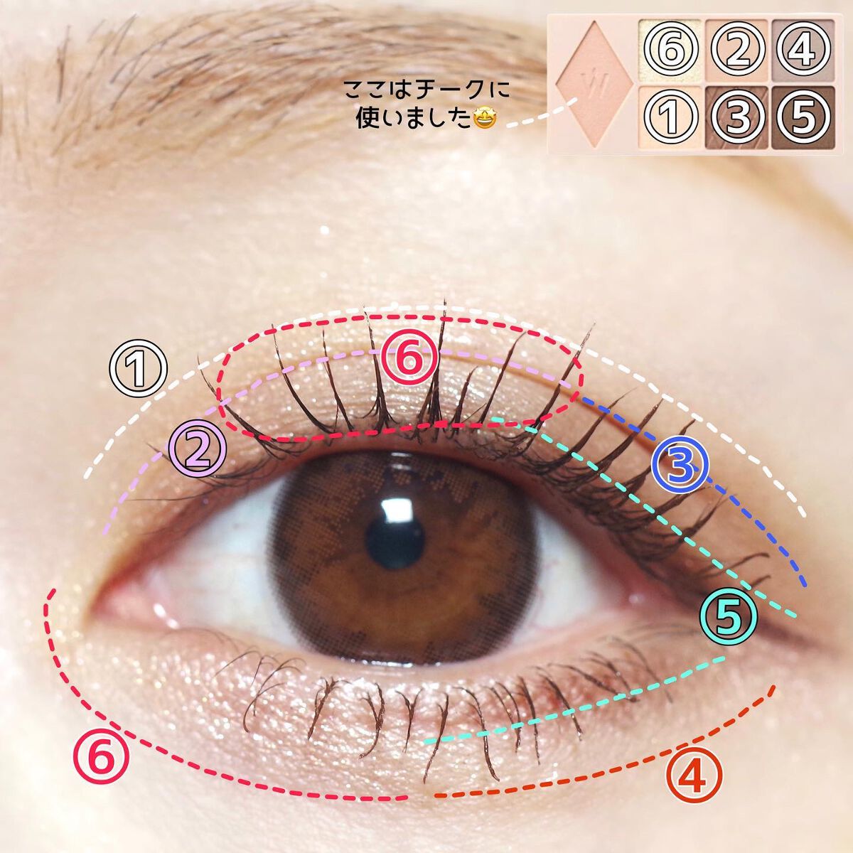 ウォンジョンヨ W デイリームードアップパレット /Wonjungyo/アイシャドウパレットを使ったクチコミ(5枚目)