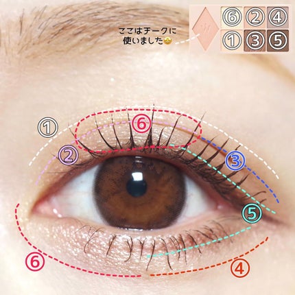 ウォンジョンヨ W デイリームードアップパレット /Wonjungyo/アイシャドウパレットを使ったクチコミ(5枚目)