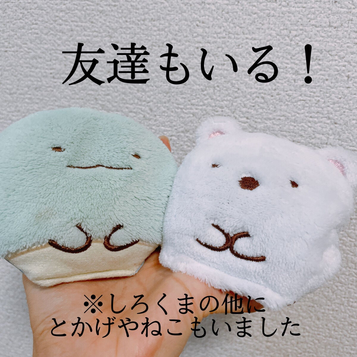 りこ on LIPS 「リラックスゆたぽん 手のりタイプ すみっコぐらししろくまとかげ..」(6枚目)