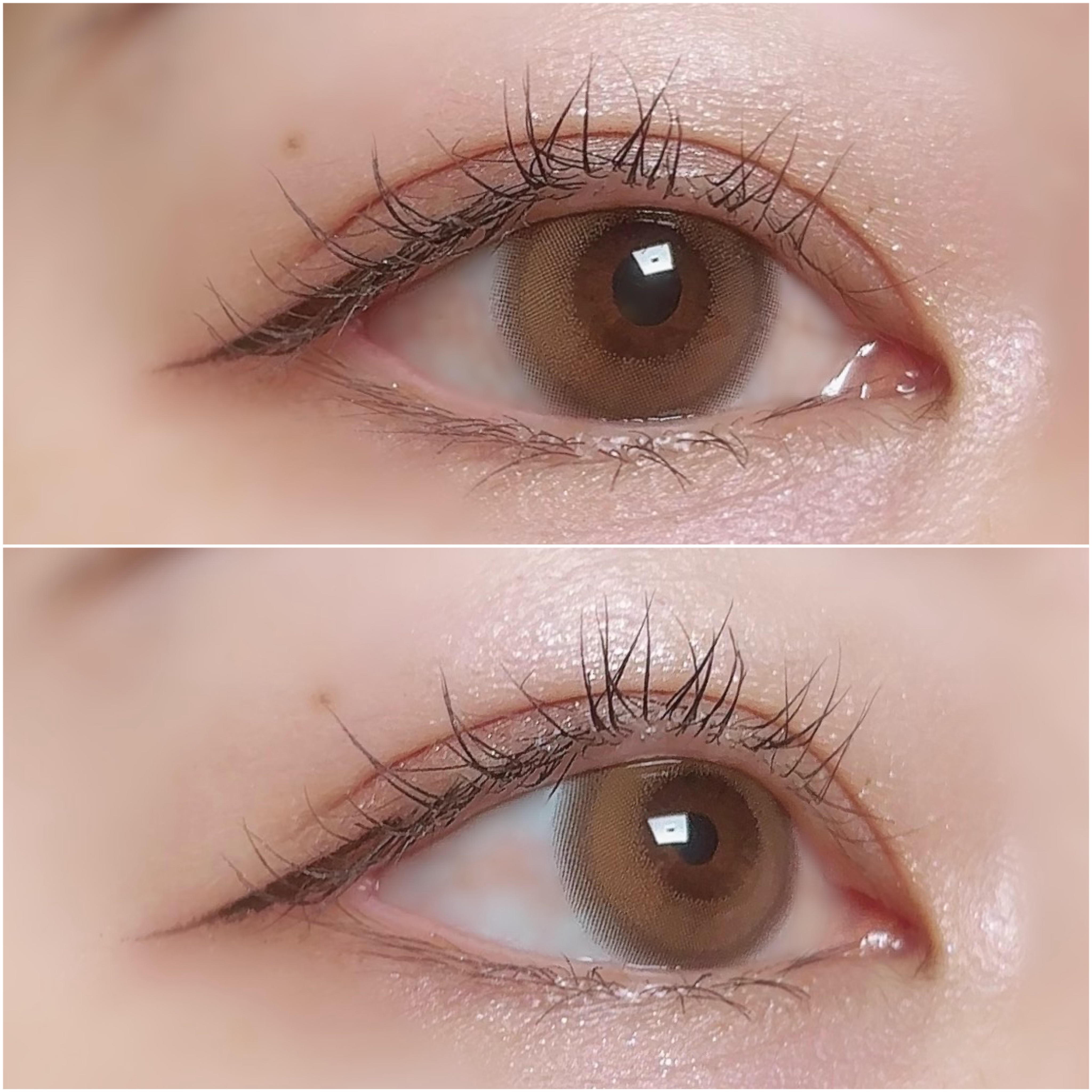 WANAF 1day クッショングロー(CUSHION GLOW)/WANAF/ワンデー（１DAY）カラコンを使ったクチコミ（3枚目）