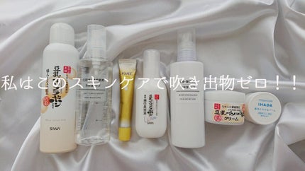 ハトムギ化粧水(ナチュリエ スキンコンディショナー R )/ナチュリエ/化粧水を使ったクチコミ(1枚目)