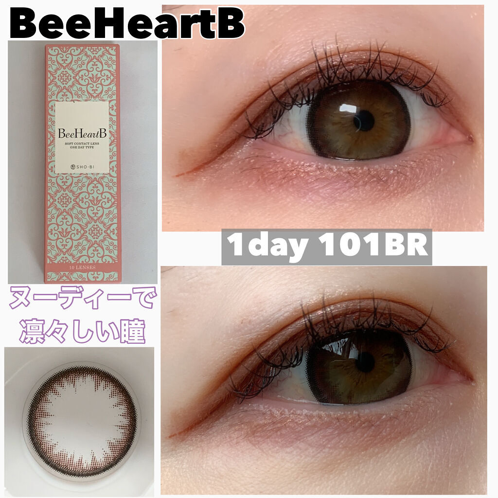 カラコン 2week 2週間使い捨て 6枚入 201-BR 206-BR BeeHeartB DIA14.0mm なし コンタクトレンズ ナチュラル  ナチュラル系 ハーフ系 ビーハートビー フチあり ブラウン 小さい 度あり 着色直径 色素薄い系 安い割引 ナチュラル系