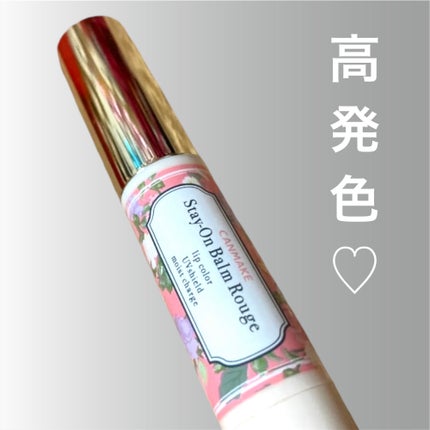 ステイオンバームルージュ(ティントタイプ)/キャンメイク/リップティントを使ったクチコミ(1枚目)