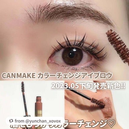 カラーチェンジアイブロウ/キャンメイク/眉マスカラを使ったクチコミ(1枚目)