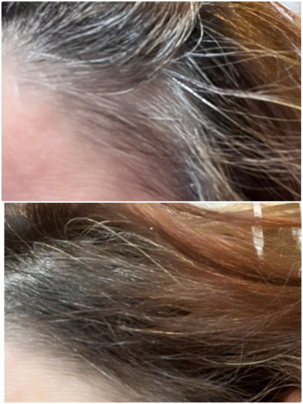 カラーシャンプー/綺和美/市販シャンプーを使ったクチコミ(3枚目)