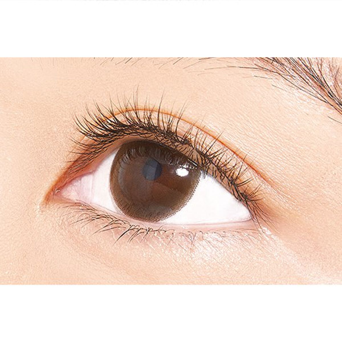 Ｕ２　アイリッシュ・オクトーバー　デラックス・エディション アイリッシュ・オクトーバー[CD] - U2 - UNIVERSAL MUSIC JAPAN