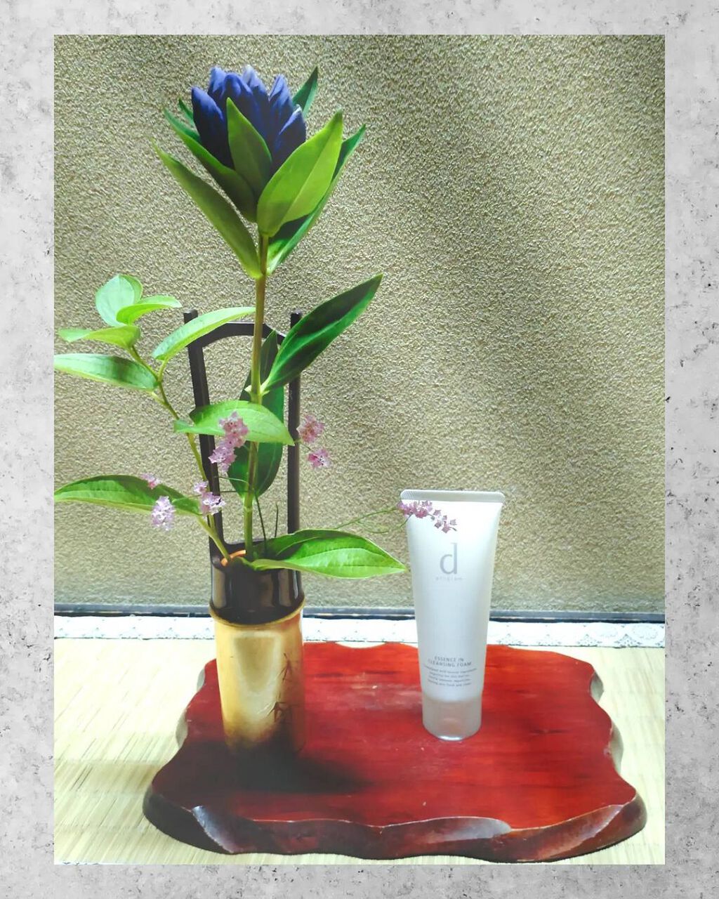 エッセンスイン クレンジングフォーム/d プログラム/洗顔フォームを使ったクチコミ(1枚目)