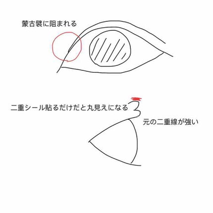オリシキ アイリッドスキンフィルム		/D-UP/二重まぶた用アイテムを使ったクチコミ(2枚目)