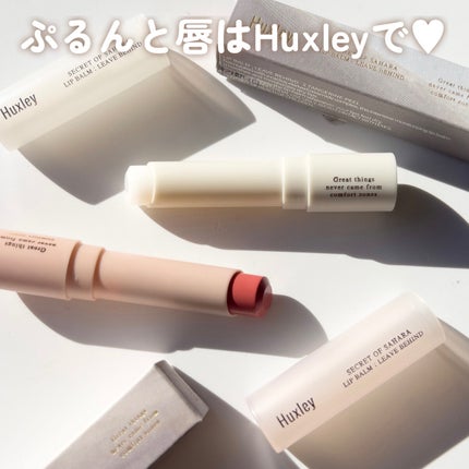 リップバーム;リーブビハインド/Huxley/リップバームを使ったクチコミ(7枚目)
