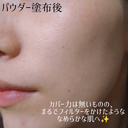 ブライトニング スキンケアパウダー 2022/スノービューティー/プレストパウダーを使ったクチコミ(4枚目)