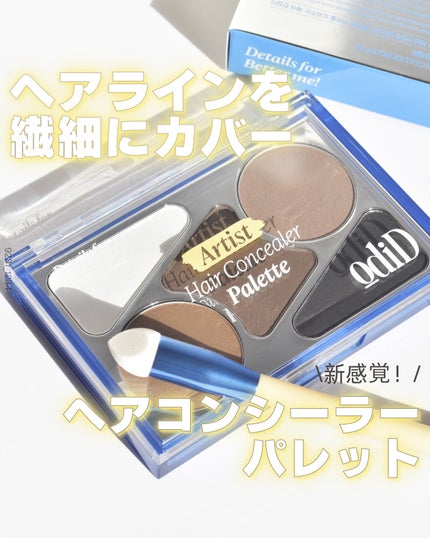 アーティストライン ヘアコンシーラーパレット/odiD/その他スタイリングを使ったクチコミ(1枚目)
