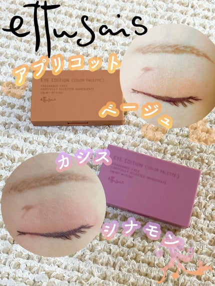 エテュセ アイエディション(カラーパレット)/ettusais/アイシャドウパレットを使ったクチコミ(1枚目)