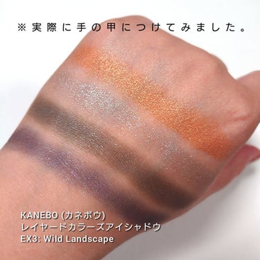 レイヤードカラーズアイシャドウ EX3 Wild Landscape（限定）/KANEBO/パウダーアイシャドウを使ったクチコミ（3枚目）