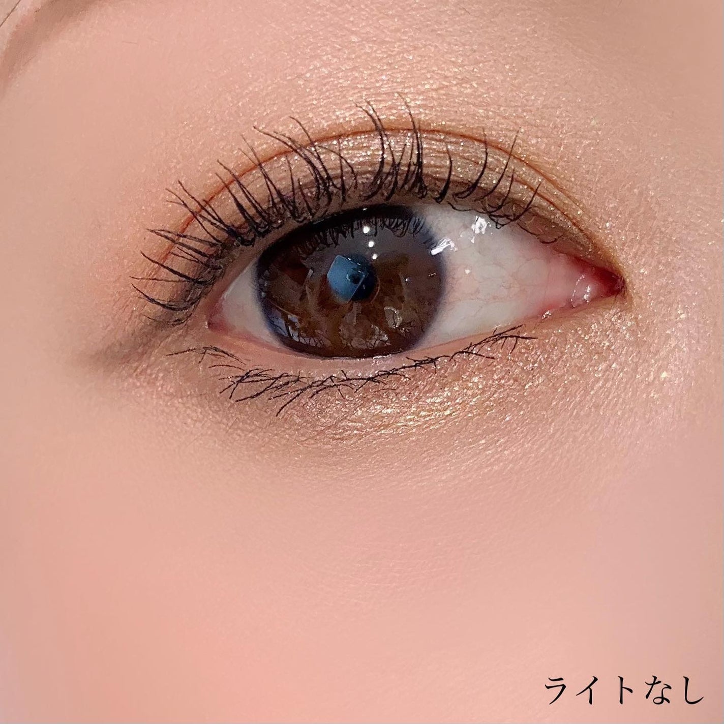 レモンフィズ アイパレット/shu uemura/アイシャドウパレットを使ったクチコミ(6枚目)