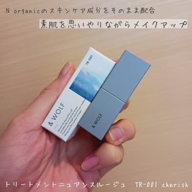 私の愛用スキンケア「N organic」のコスメ💄

定期継続特典か何かでいただきました！
スキンケアしか使ったことがなくて、気になってたから嬉しい🥰

持ちについては「すごくいい！」ってわけでもないけ