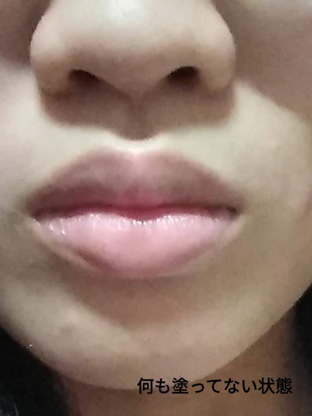 ピュアリップカラー /パラドゥ/口紅を使ったクチコミ(4枚目)