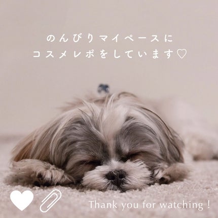 口紅(詰替用)/ちふれ/口紅を使ったクチコミ(8枚目)