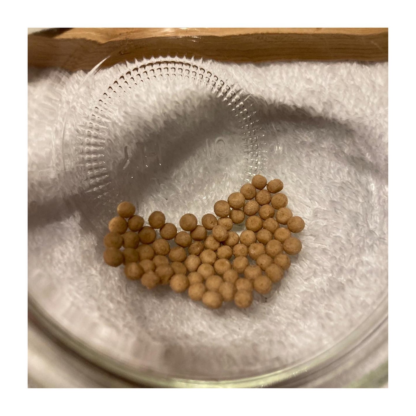 BLOOMAGE APPLE CIDER VINEGAR/BloomAge/健康サプリメントを使ったクチコミ(4枚目)