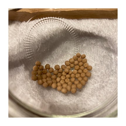 BLOOMAGE APPLE CIDER VINEGAR/BloomAge/健康サプリメントを使ったクチコミ(4枚目)