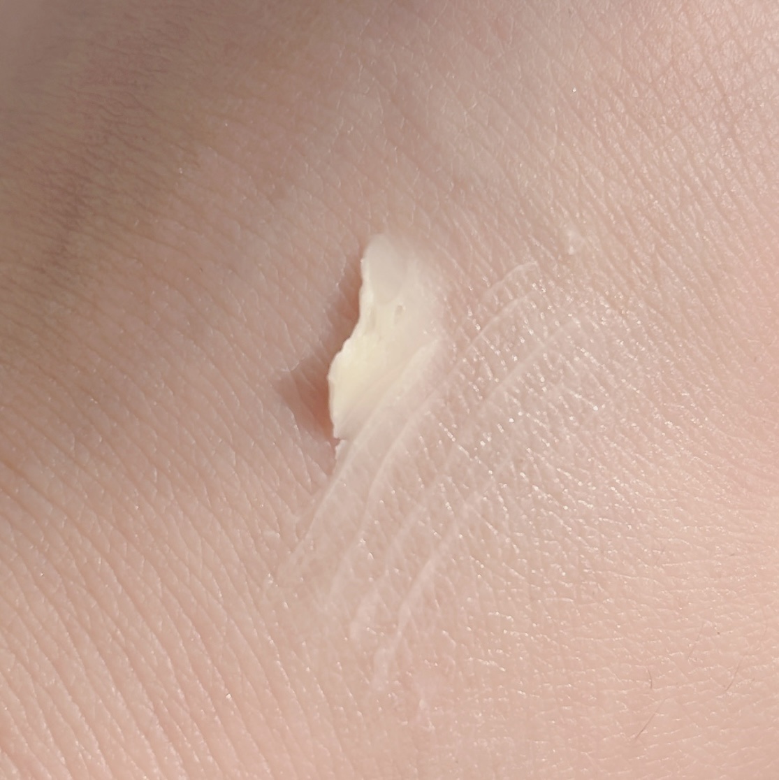 ラスティングマルチアイベース WP/キャンメイク/アイシャドウベースを使ったクチコミ（2枚目）