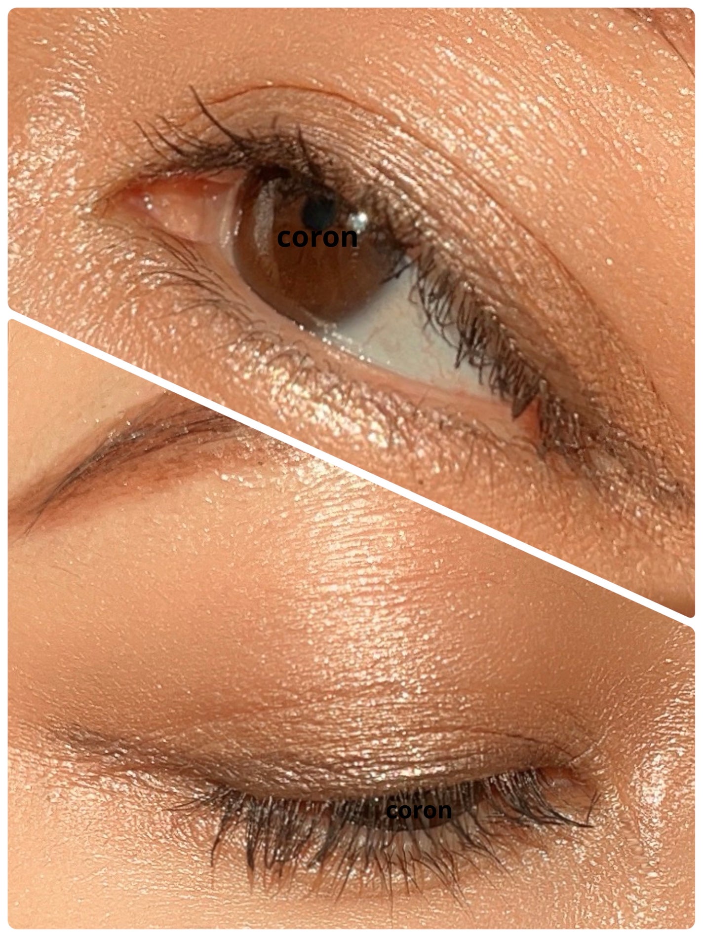 ãã³ã°ãŠã§ã¢ ã¯ãªãŒã  ã·ã£ã㊠ã¹ãã£ãã¯/BOBBI BROWN/ã¹ãã£ãã¯ã¢ã€ã·ã£ããŠã䜿ã£ãã¯ãã³ãïŒ2æç®ïŒ