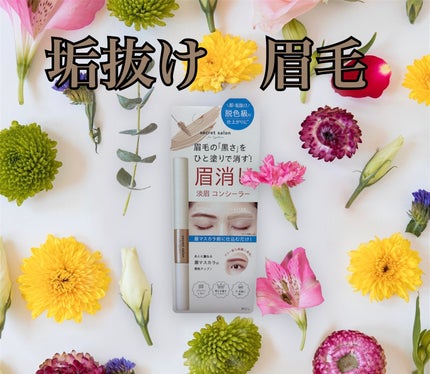 淡眉コンシーラー/シークレットサロン/眉マスカラを使ったクチコミ(1枚目)