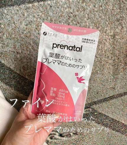 葉酸がはいったプレママのためのサプリ/ファイン/健康サプリメントを使ったクチコミ(1枚目)