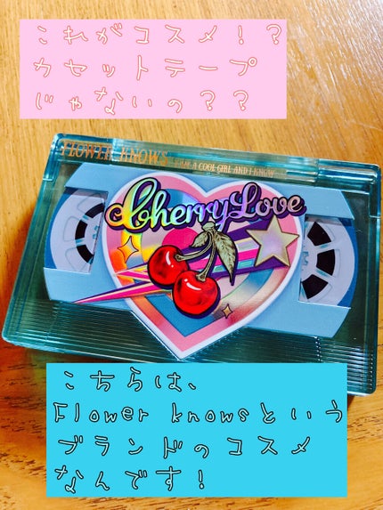 レトロマグネティック アイシャドウパレット/FlowerKnows/アイシャドウパレットを使ったクチコミ(1枚目)