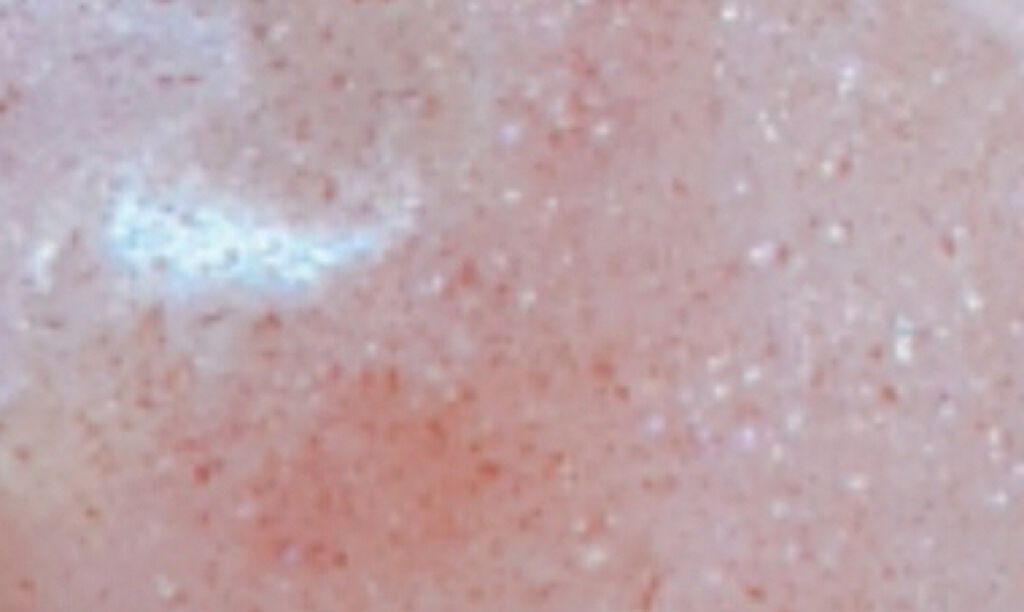 フルーティーピュアオイルリップ/キャンメイク/リップグロスを使ったクチコミ(2枚目)