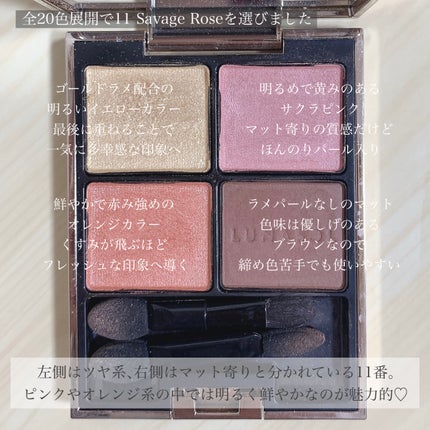 アイカラーレーション/LUNASOL/アイシャドウパレットを使ったクチコミ(3枚目)