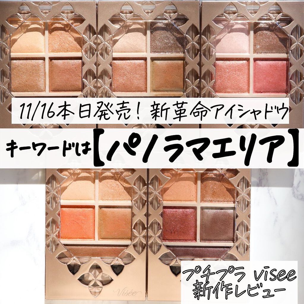 パノラマデザイン アイパレット/Visée/アイシャドウパレットを使ったクチコミ(1枚目)